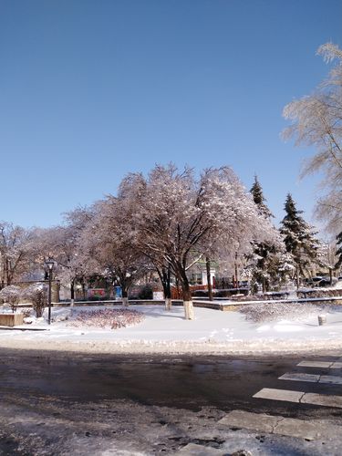 有关冬天第一场雪发朋友圈说说的短句（雪落时，心生诗意）