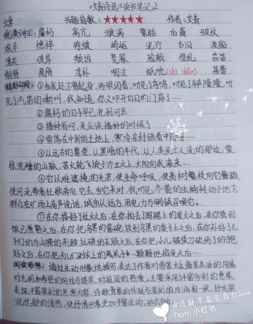 艾青诗选读书笔记摘抄段落（唯美的文字，穿越时空）