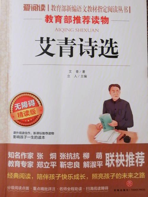 艾青诗选读书笔记摘抄段落（唯美的文字，穿越时空）