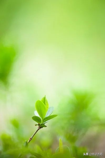 立春节气诗词大全（优美的立春诗词）