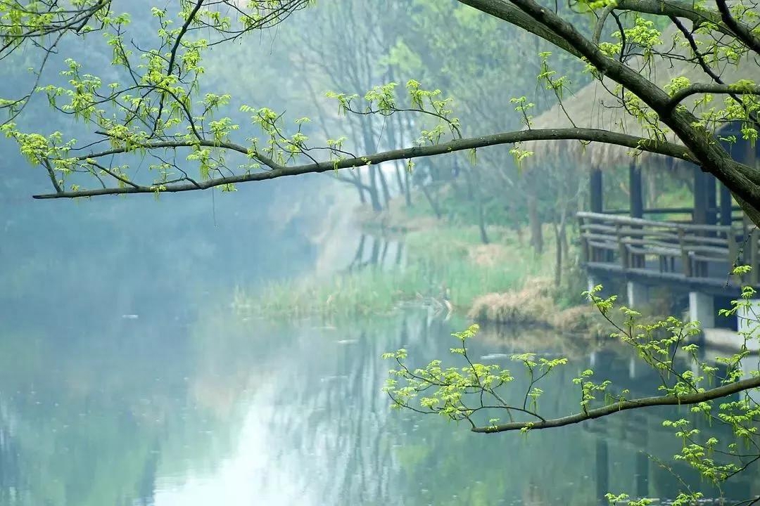 律回岁晚冰霜少，春到人间草木知（十首立春诗词赏析）