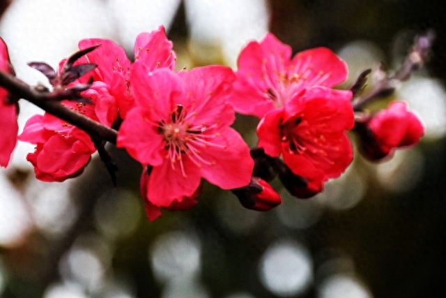 雨水节气诗词名句（描写雨水节气的古诗词）