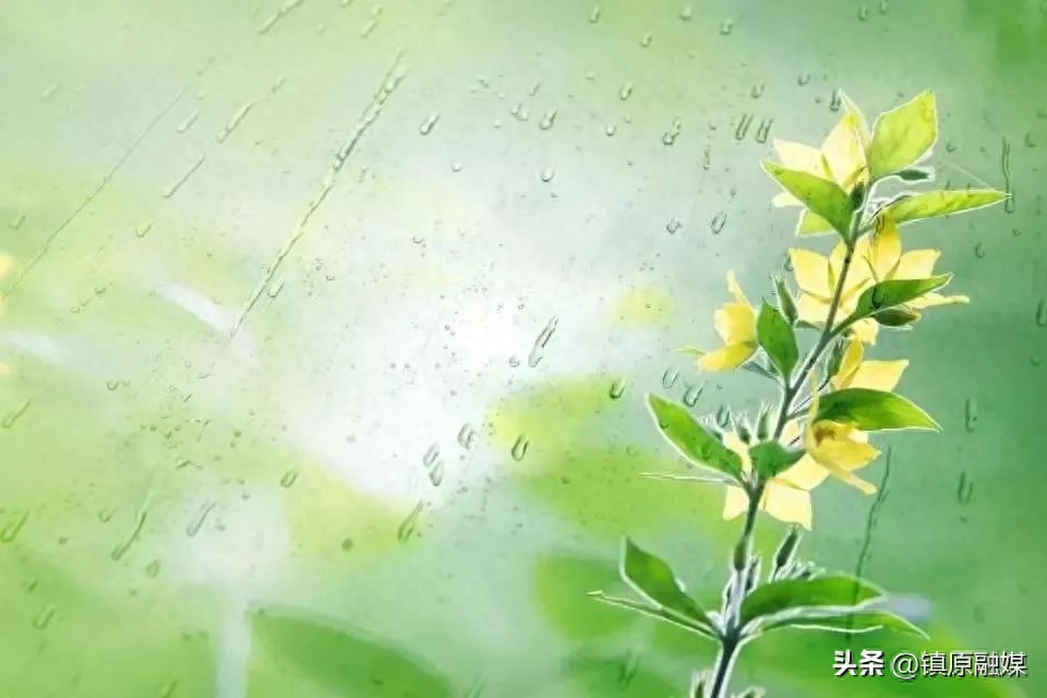 雨水节气诗词鉴赏（雨水二十四节气古诗词）