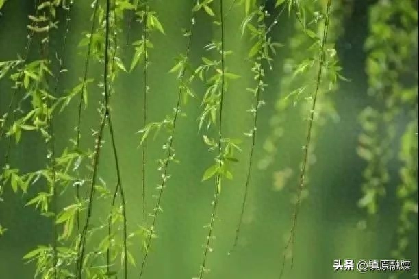 雨水节气诗词鉴赏（雨水二十四节气古诗词）