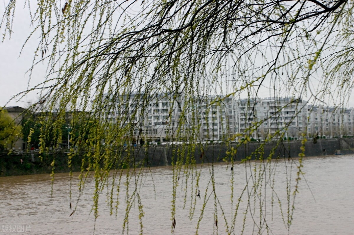 雨水节气诗词精选（雨水节气诗33首）