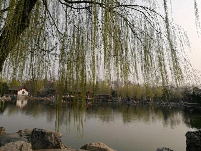 雨水节气诗词精选（雨水节气诗33首）