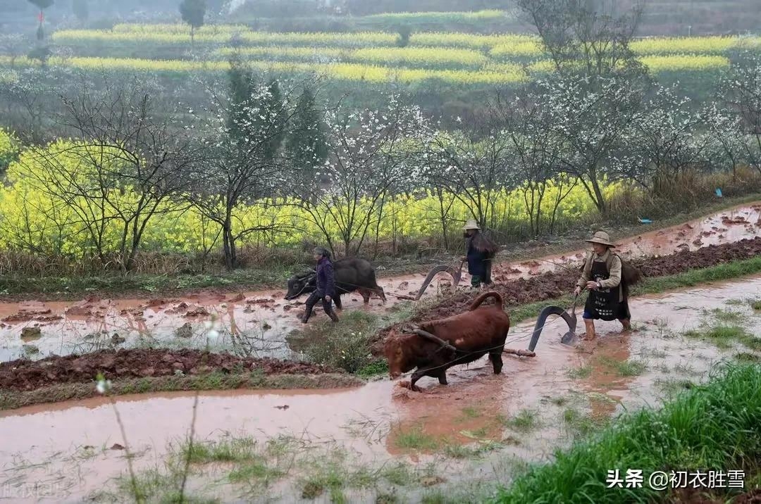 雨水节气诗词精选（雨水节气诗33首）