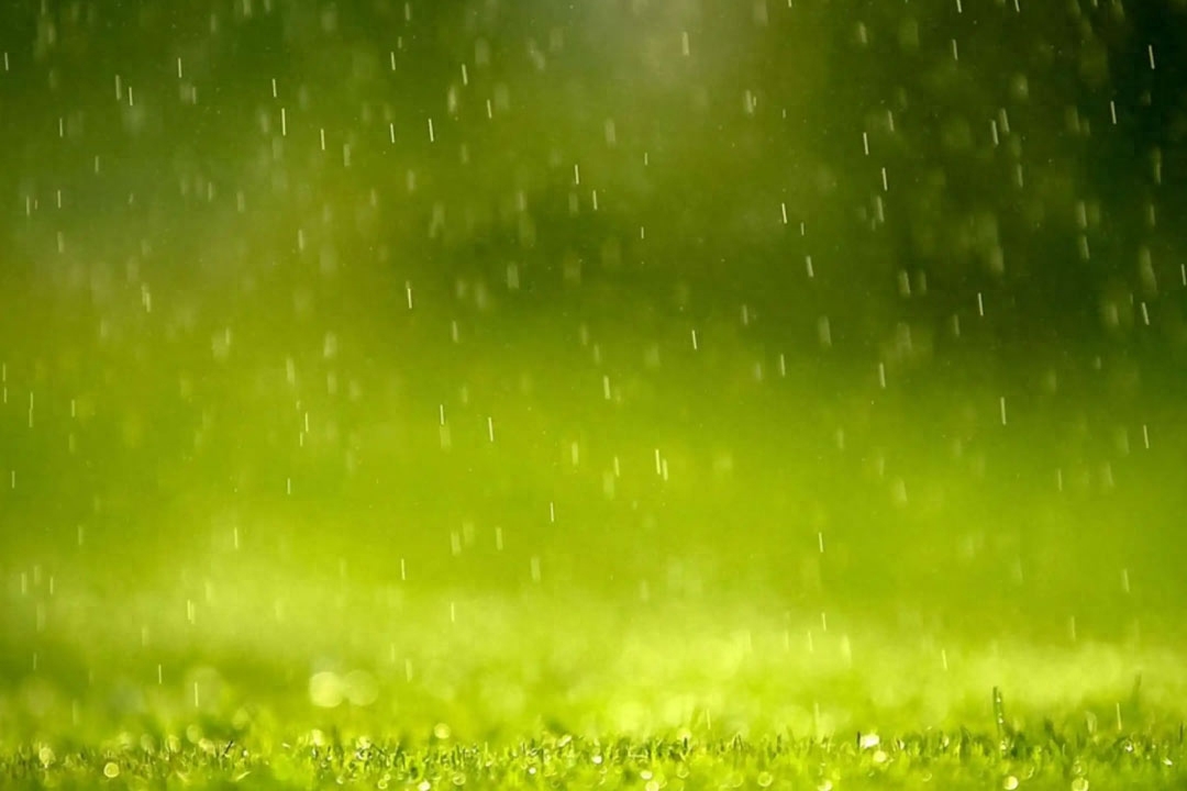 雨水节气诗词鉴赏（10首美到令人心醉的春雨诗词）