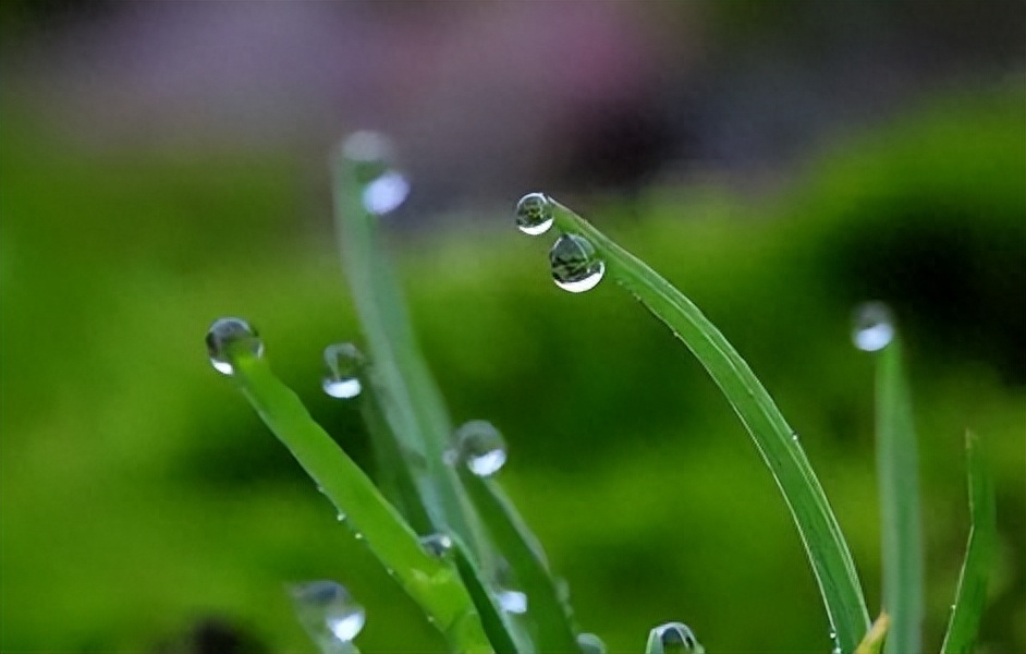 一朝春雨过，万物皆清明（赏析20首春雨诗词）