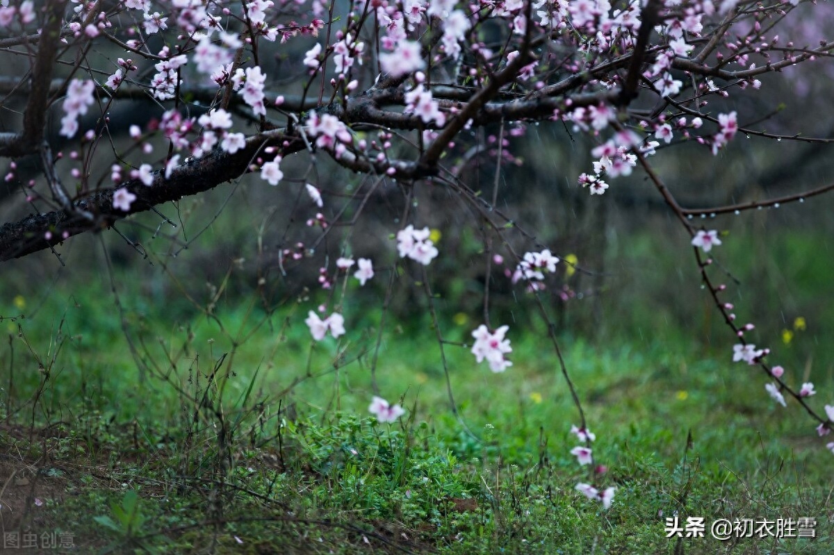 二十四节气之雨水五首鉴赏（天一实生水，酝酿出春天）