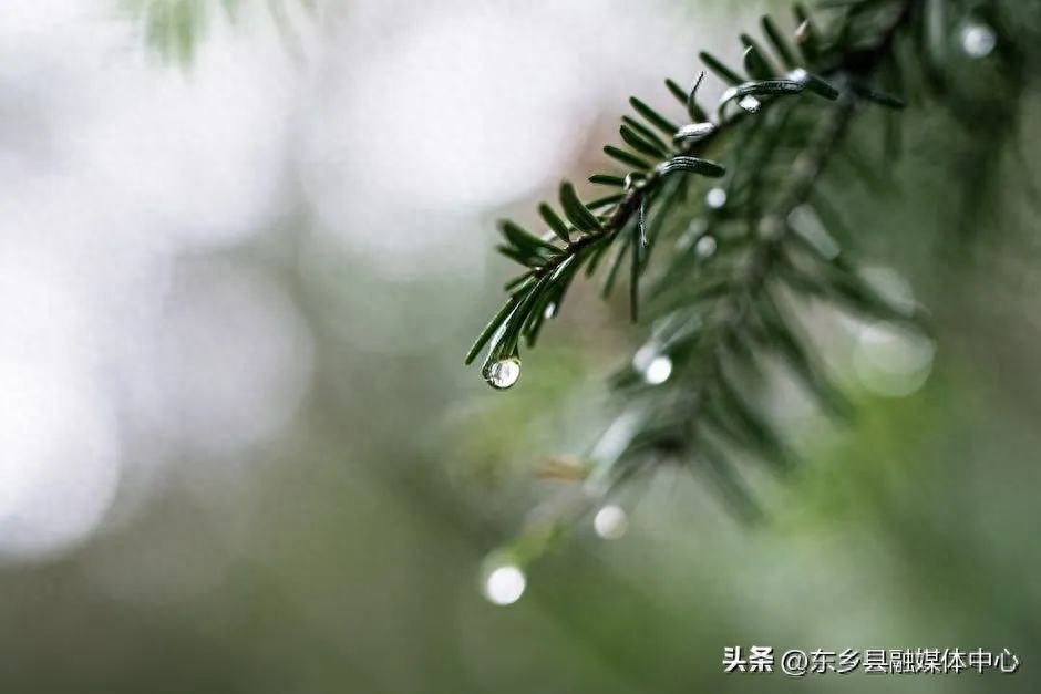 雨水节气诗词鉴赏（雨水30首经典诗词）