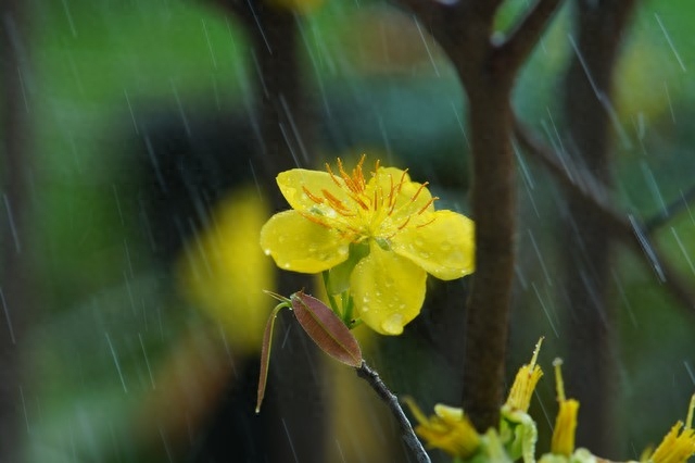 雨水节气诗词名句（雨水节气优美春雨诗词）