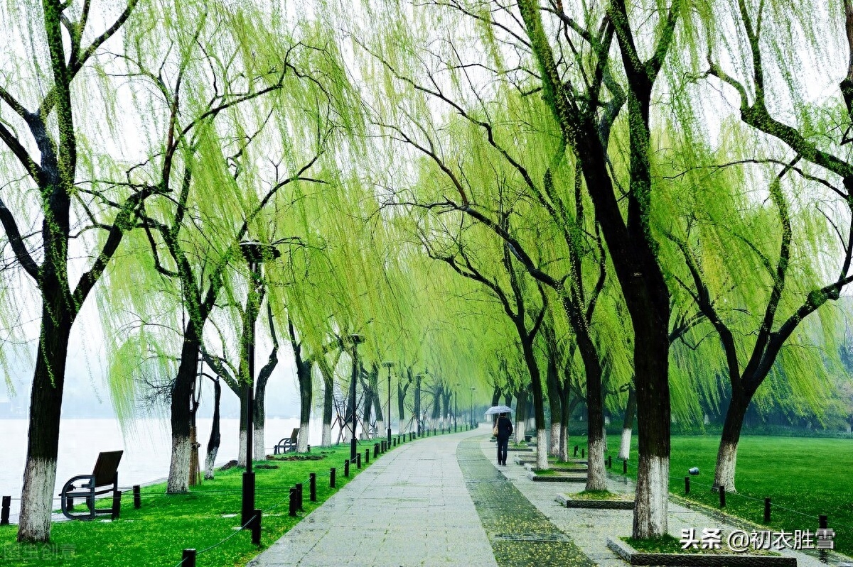 早春雨水节气美诗五首鉴赏（雨水已来芳草动，春光深浅问梅花）