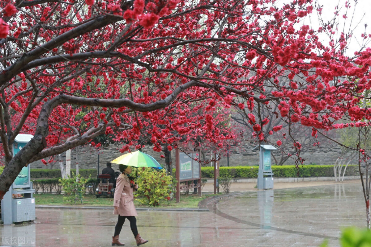 雨水节气诗词名句（关于雨水时节的唯美诗词）