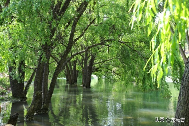 谷雨经典诗词有哪些（雨水时节13首古诗词）