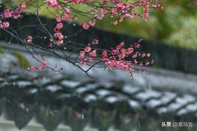 谷雨经典诗词有哪些（雨水时节13首古诗词）