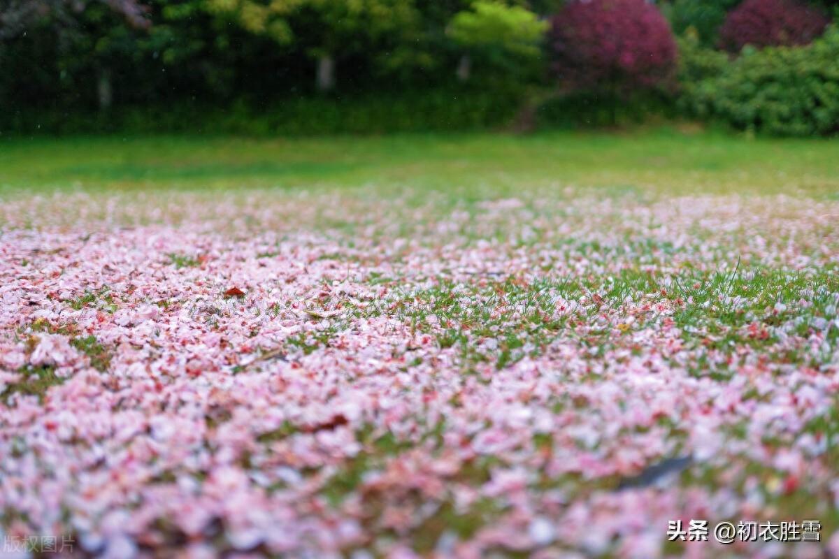 春雨春分美诗六首鉴赏（春分雨处行，细雨又春分）