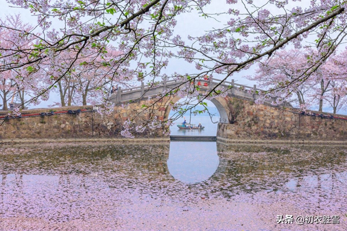 明丽春分节气美诗六首鉴赏（四时唯爱春，春更爱春分）