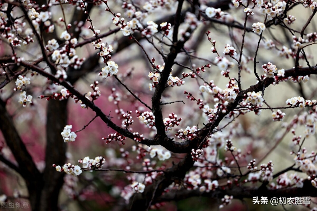 春分节气春雨美诗七首赏析（春分雨露濛，细雨又春分）