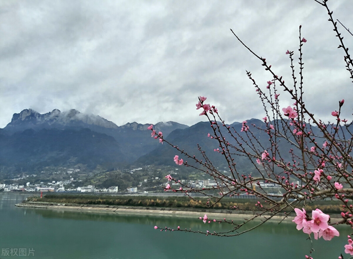 东风拂面，万丝碧落（唯美春日诗词四首）