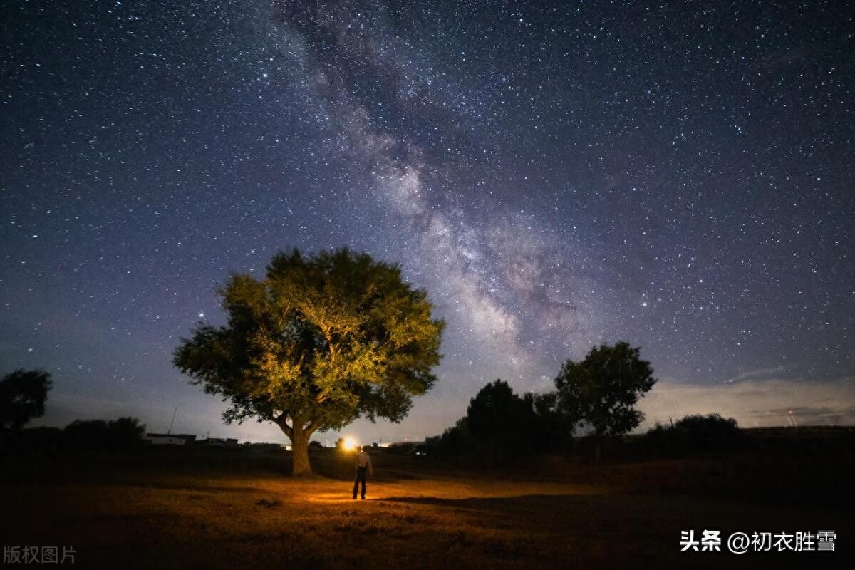 七夕唯美诗词大全（七夕古诗五首）