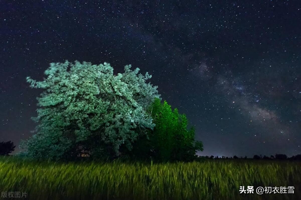 描写夏天七月唯美酷热的诗词（七月唯美五首古诗）