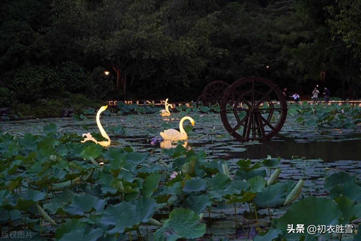 夏夜唯美绝句诗词五首（一窗明月凉于水，梦醒香闻子午莲）