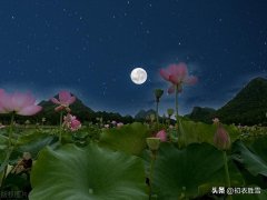 夏夜唯美绝句诗词五首（一窗明月凉于水，梦醒香闻子午莲）