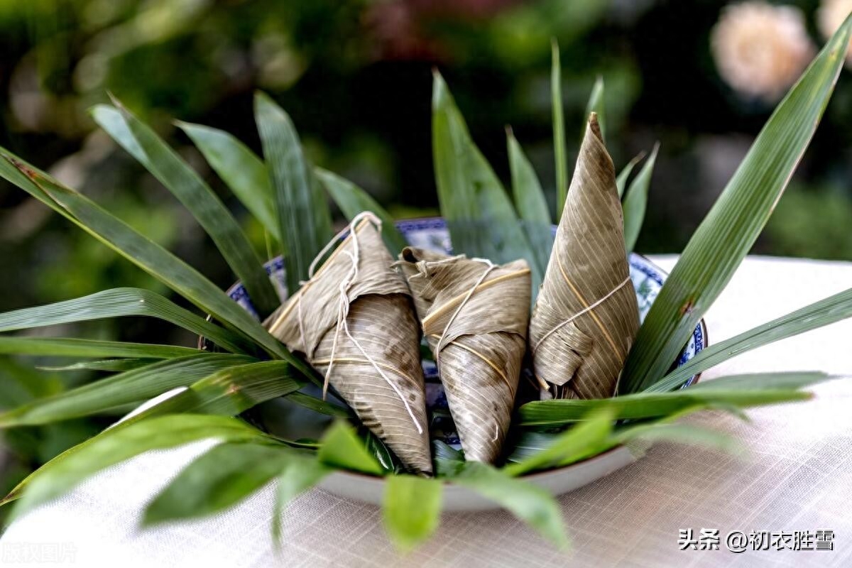 端午古诗五首赏析（粽香筒竹嫩，九子粽争新）