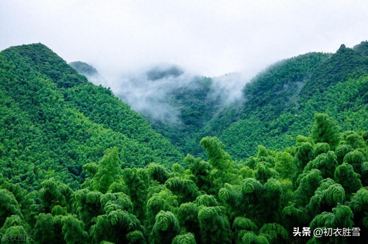 初夏夏雨唯美诗词五首（无人嫌夏雨，阴阴众绿成）