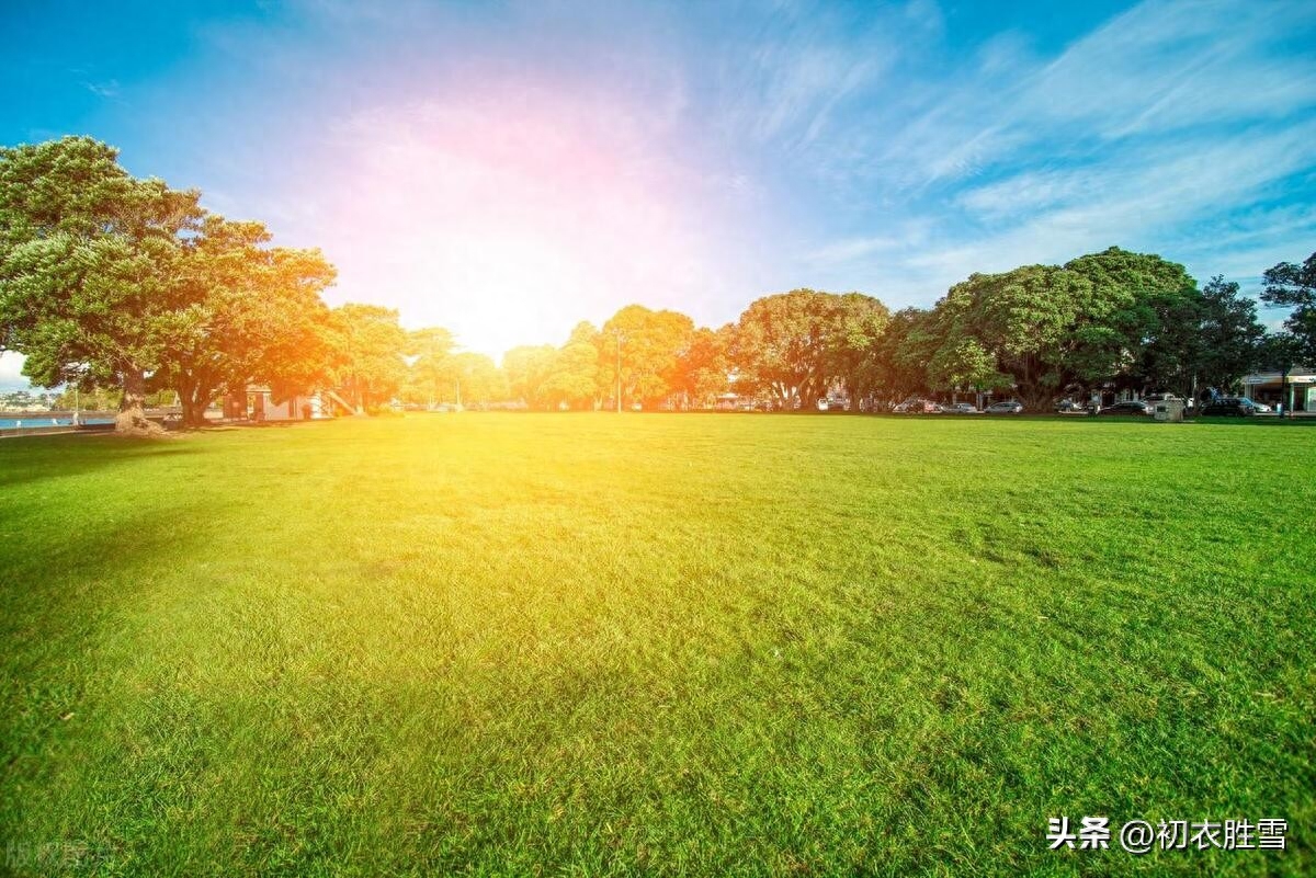 迎接夏天立夏古诗五首（却从立夏晴多日，策杖闲来看绿阴）