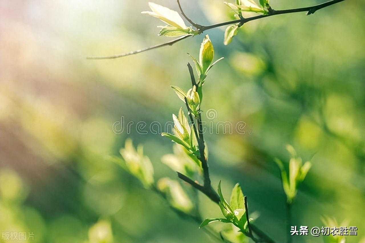 踏青诗词古句有哪些（暮春踏青宋诗六首）