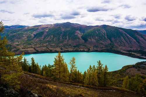 让人温暖的冬天作文（《冬天的风景》）