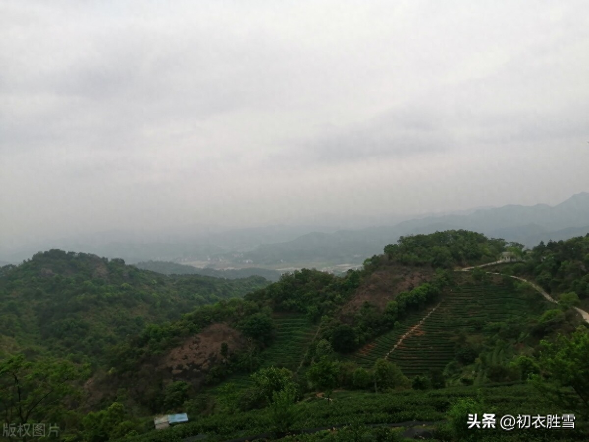 清明节扫墓古诗五首（清明祭扫各纷然，百年人世几清明）