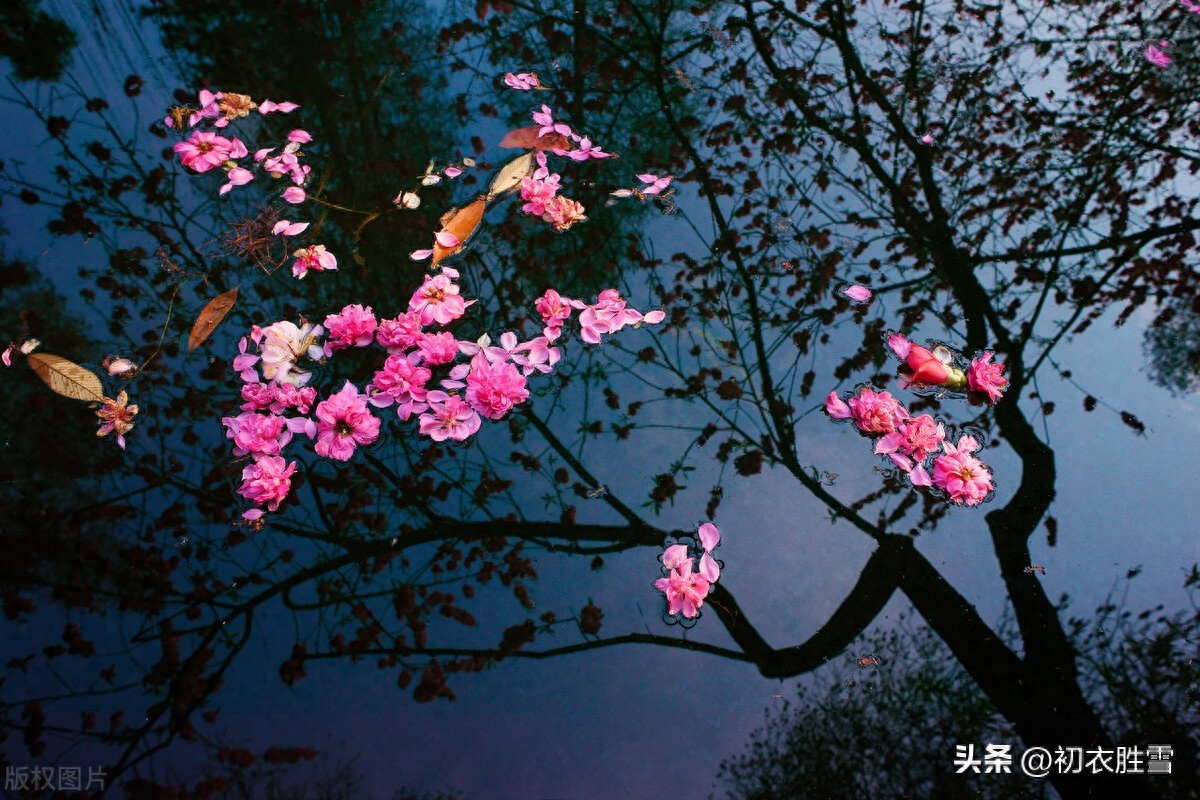 仲春二月春半诗词六首赏析（春半花如海，桃花寂寞开）