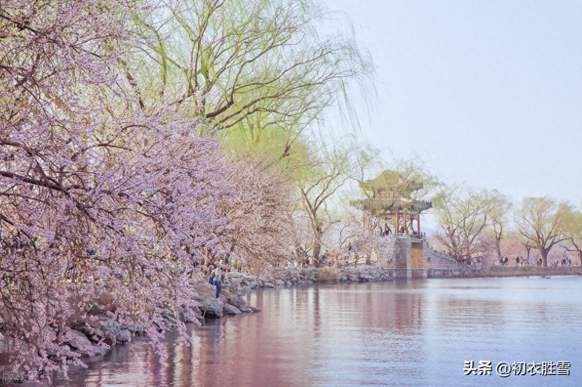 春天唯美古诗词鉴赏（形容春天的优美古诗词）