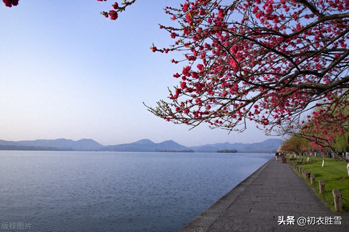 春天唯美古诗词鉴赏（形容春天的优美古诗词）