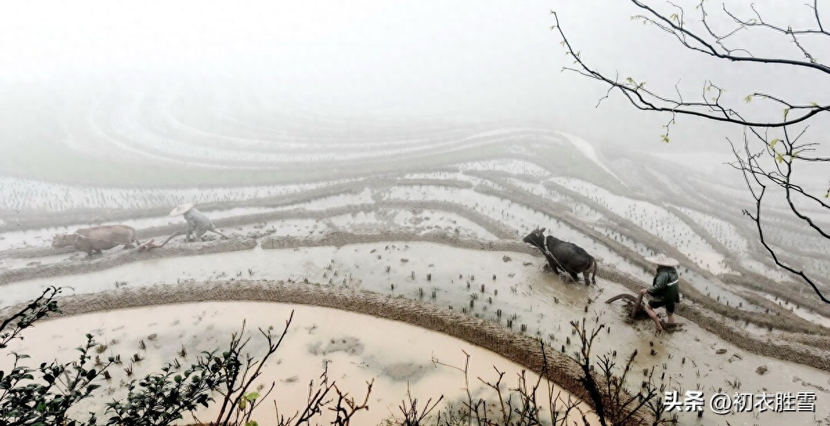 春雨春寒古诗七首精选（春寒独自煮春茶，春雨春寒总欠诗）