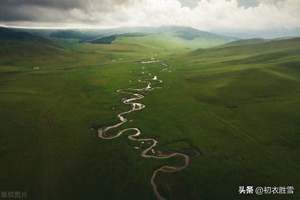 春草唯美古诗三首精选（青青河边草，悠悠万里道）