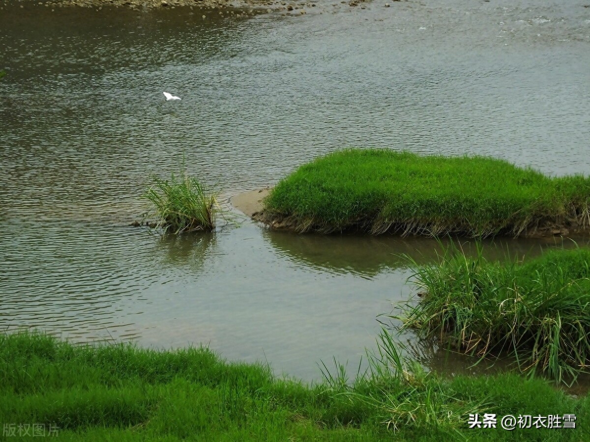 春草唯美古诗三首精选（青青河边草，悠悠万里道）