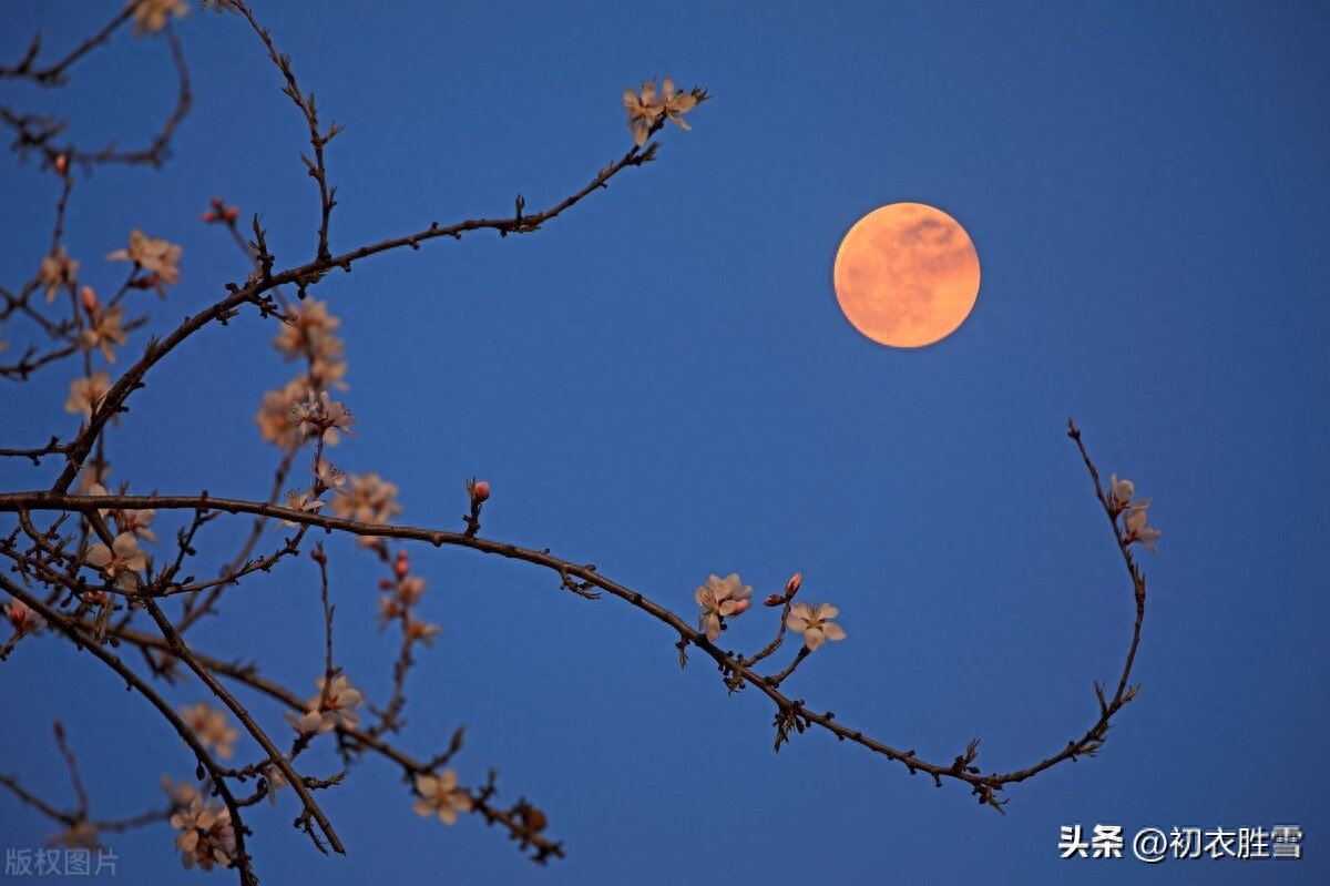 ​除夕古诗绝句五首（今宵明早为新岁，明早今宵是旧年）