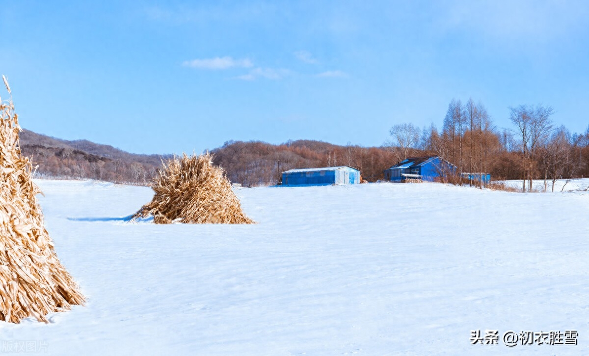 大雪唯美古诗大全（大雪节气大雪诗词五首）