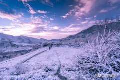 大雪唯美古诗大全（大雪节气大雪诗词五首）