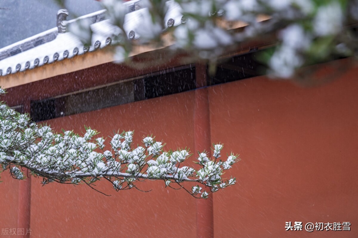 积阴成大雪，依依惜暮晖（大雪节气古诗五首赏析）