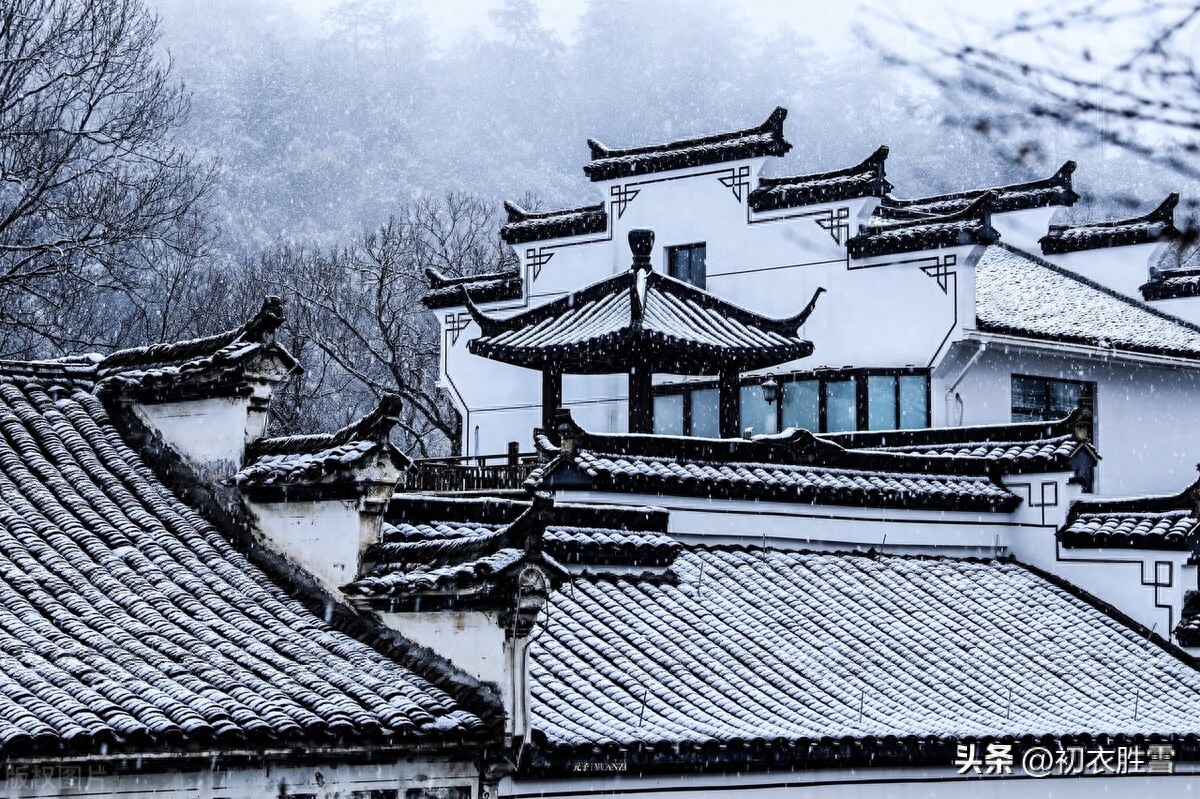 积阴成大雪，依依惜暮晖（大雪节气古诗五首赏析）