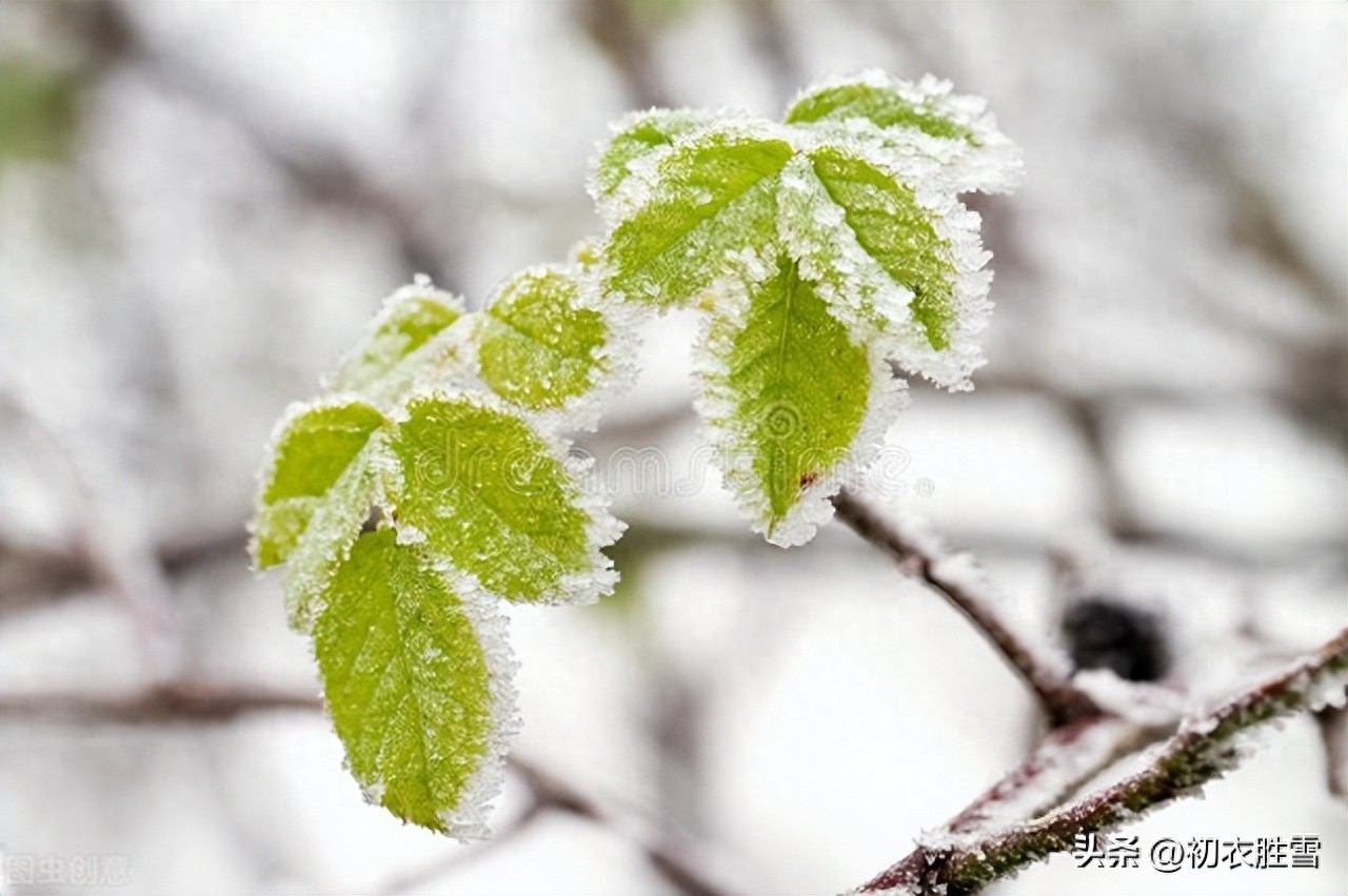 小雪节气古诗六首赏析（小雪未成寒，清醉亦陶然）