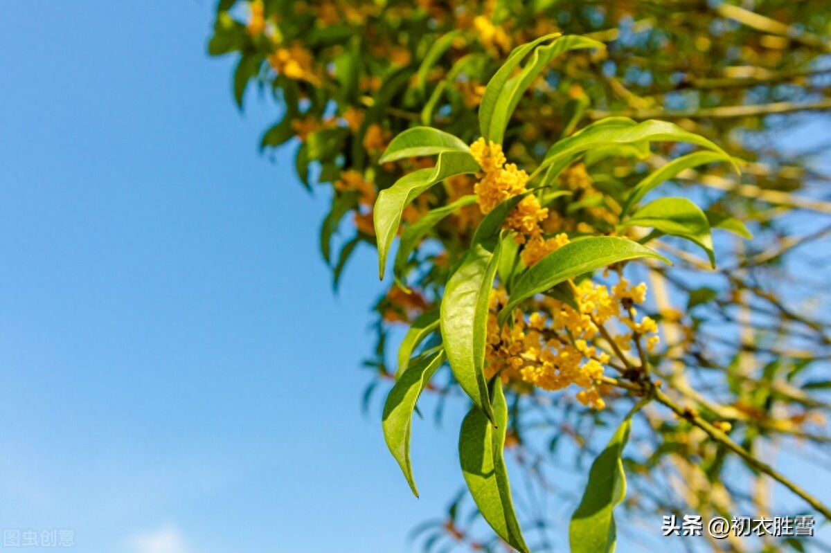 暖阳爱日诗词五首赏析（小春爱日融融暖，独凭爱日养残红）