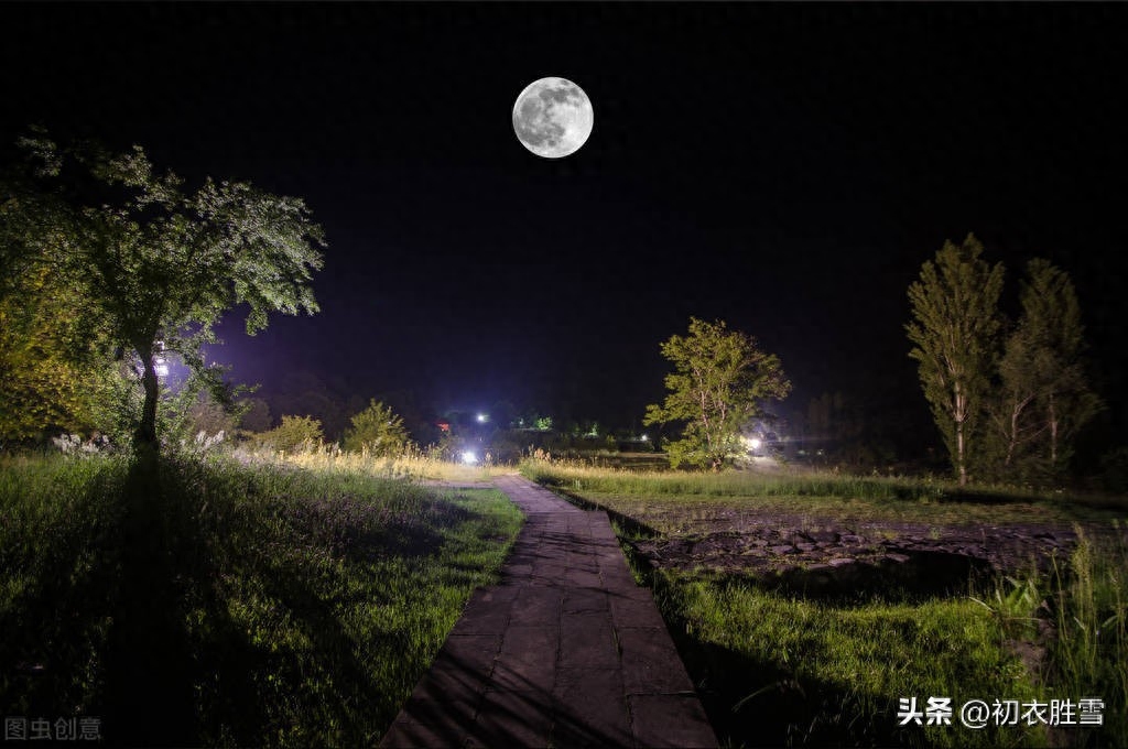 白露节气唯美诗词五首赏析（露从今夜白，月是故乡明）