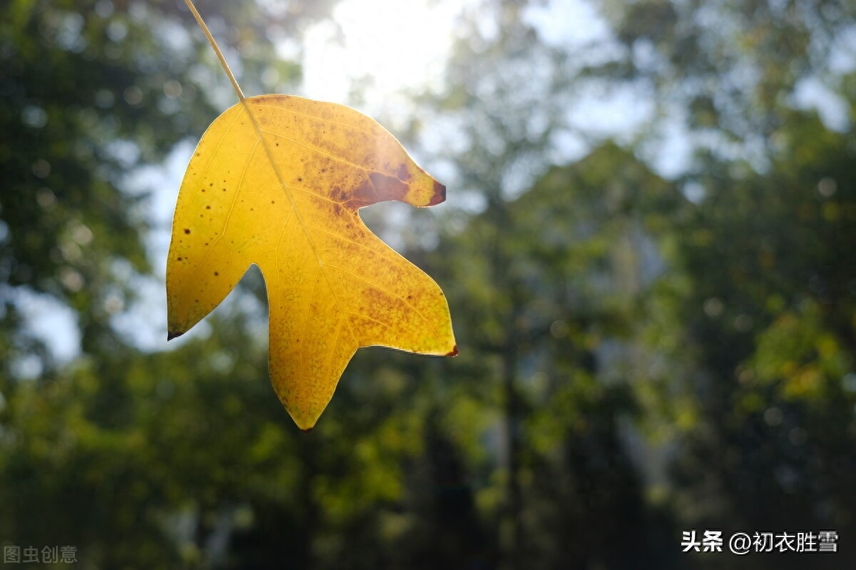 立秋节气唯美古诗七首（倏忽徂炎罢，又遇立秋时）