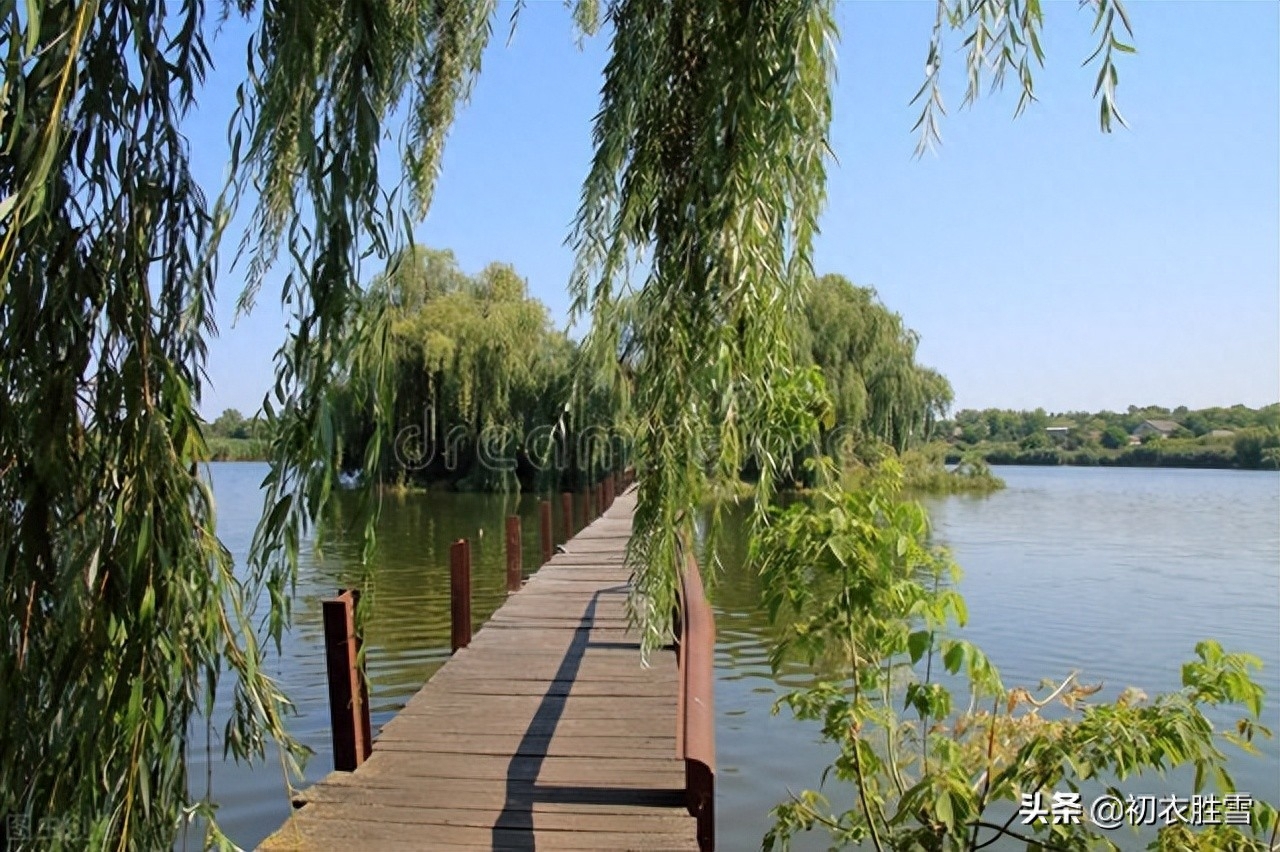 暑夏清凉柳阴诗词五首（清风柳阴好，归人满柳阴）